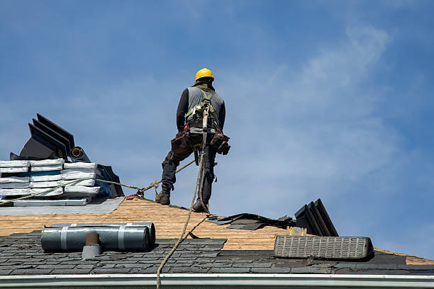 Professional Metal Roofing technician working in Lynn Center, IL